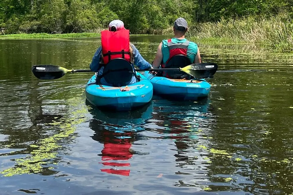 Two people are kayaking in calm water amidst greenery