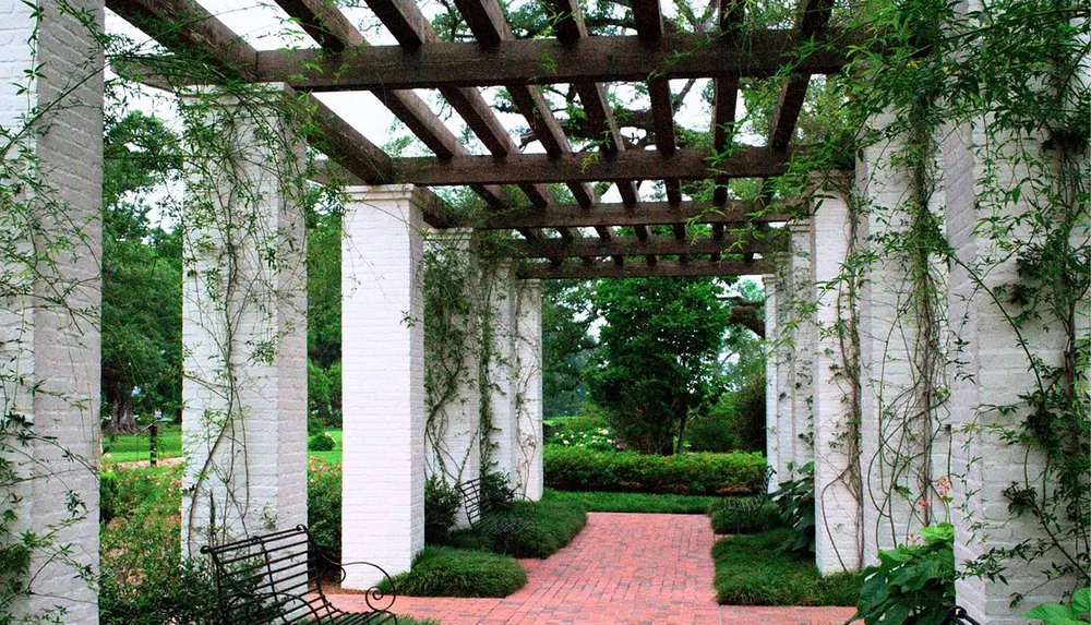 This image shows a serene garden pathway lined with benches flanked by white columns and a wooden trellis overhead with climbing vines and lush greenery in the background