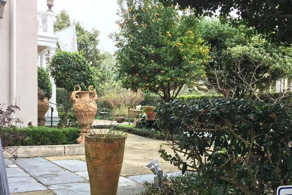 A serene garden courtyard with ornate urns lush greenery and a citrus tree laden with orange fruit