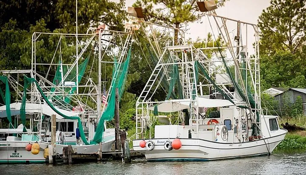 Two shrimp boats with tall booms and nets docked along a tree-lined waterway