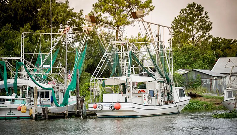 Shrimp boats are moored at a rural dock with dense greenery in the background and cluttered equipment visible on deck