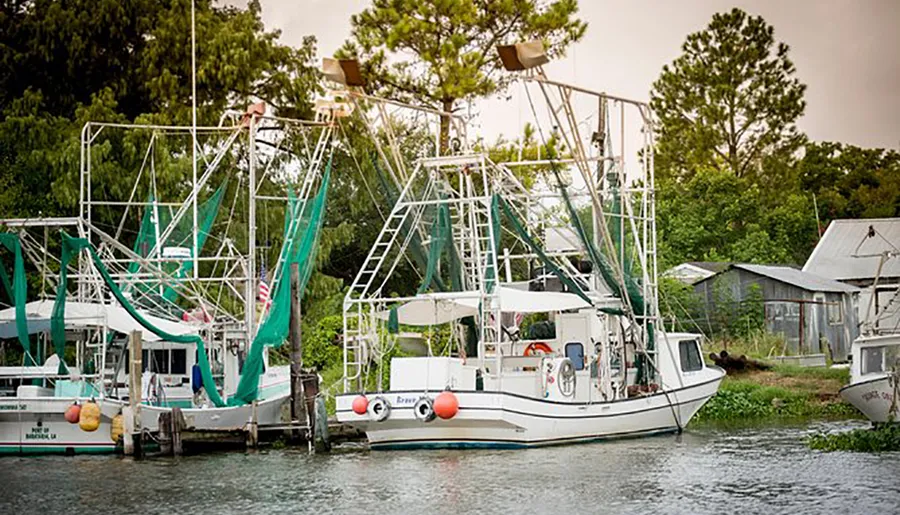 Shrimp boats are moored at a rural dock with dense greenery in the background and cluttered equipment visible on deck.