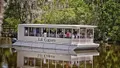 Swamp and Bayou Sightseeing Tour from New Orleans Photo