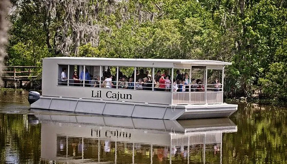 A group of people are enjoying a boat tour on a flatboat named Lil Cajun through a tree-lined waterway