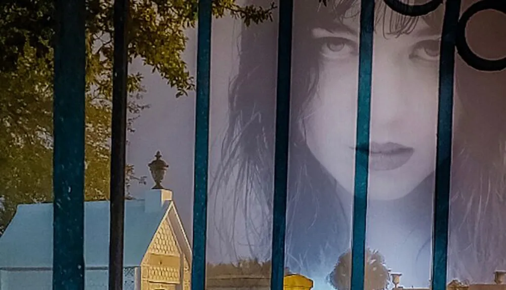 The image shows a fragmented view of a womans face through vertical bars with a reflection of buildings and trees creating a layered effect