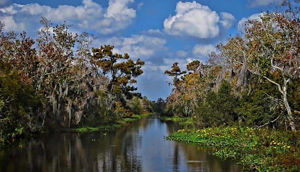 The image shows a serene waterway flanked by lush green vegetation and trees draped with Spanish moss under a partly cloudy blue sky