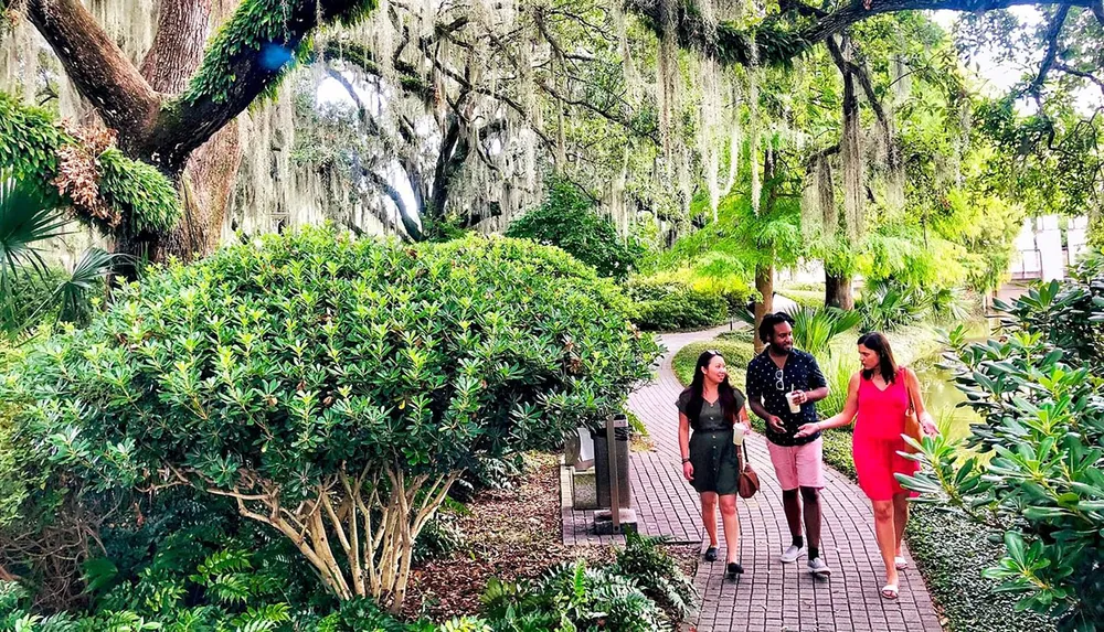 Three people are walking and talking together along a picturesque garden path shaded by trees draped with Spanish moss