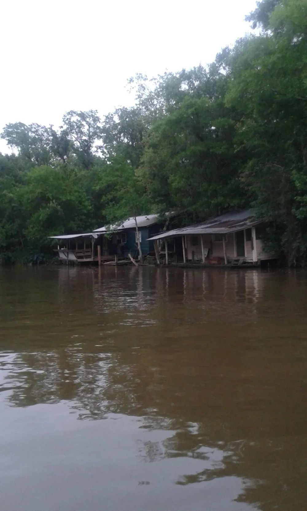 The image shows a waterfront with dilapidated buildings partially submerged in a brown water body surrounded by dense vegetation