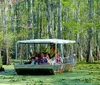 A group of tourists is enjoying a boat tour through a swampy area with lush greenery and cypress trees
