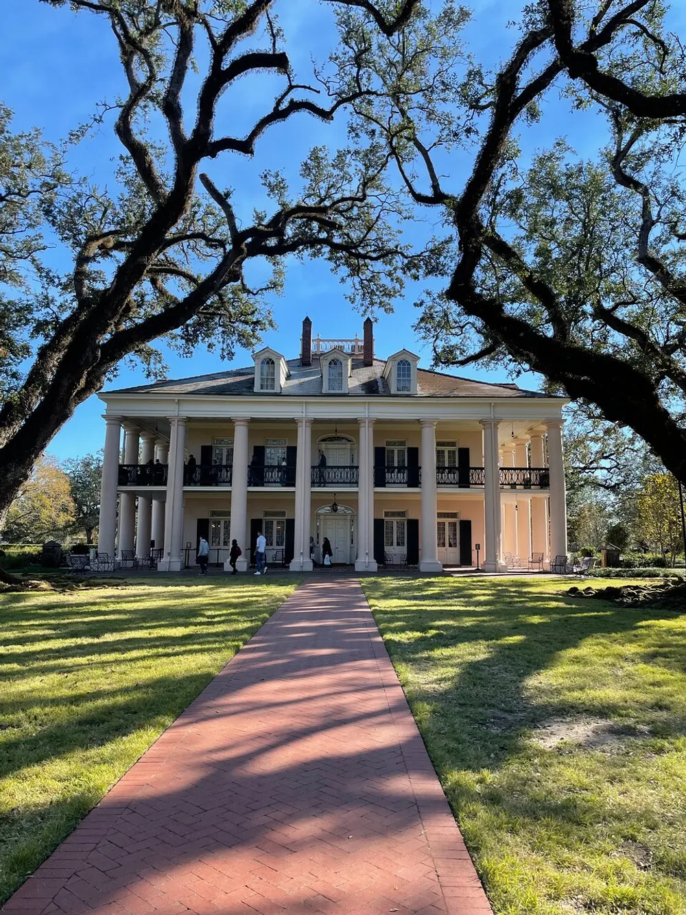 The image shows a grand historic mansion with a double-gallery porch framed by the gnarled branches of majestic oak trees under a blue sky