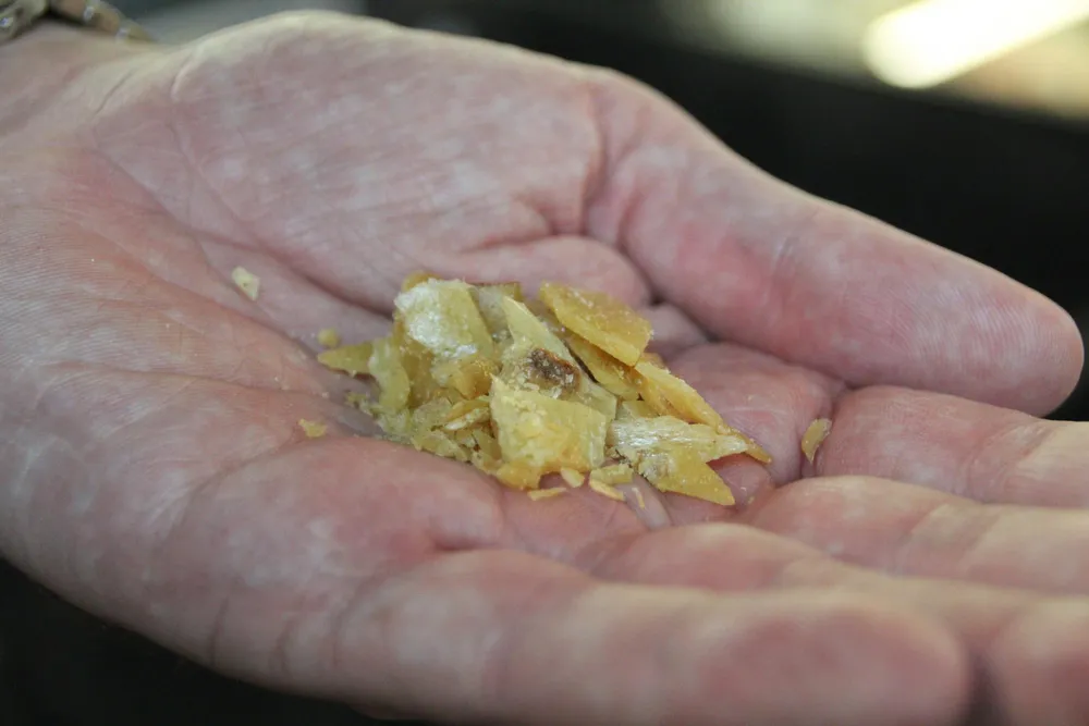 An open hand is holding a small pile of crumbled potato chips