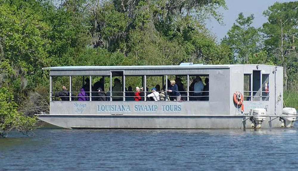 Passengers on a Louisiana Swamp Tours boat observe the surrounding wetlands