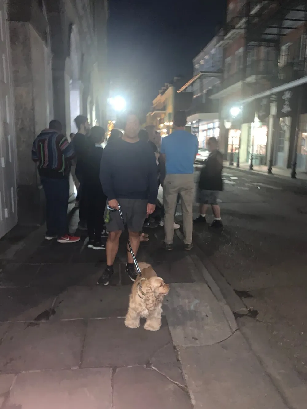 A person stands with a leashed cat on a city sidewalk at night while others gather in the background