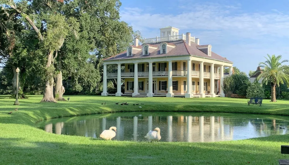 A grand plantation-style house with a two-story columned facade overlooks a serene pond with two swans in the foreground amidst lush greenery
