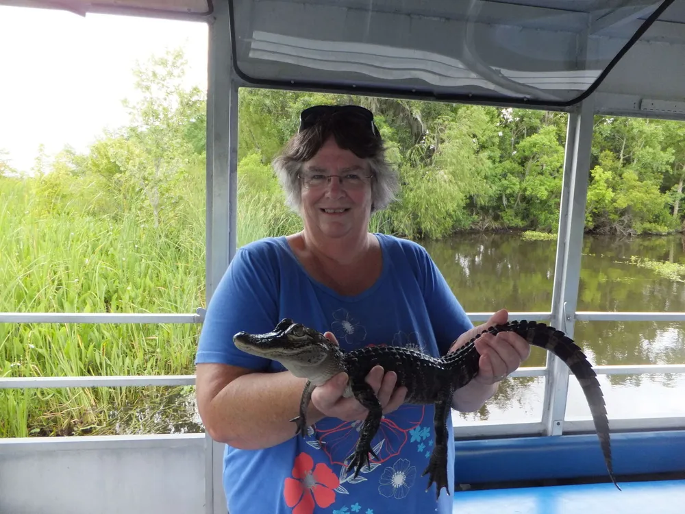 A person is holding a small alligator with a smile while standing inside an enclosed boat with a view of lush greenery in the background