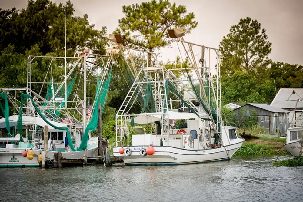 Several shrimp boats with tall net riggings are docked at a tranquil waterfront likely preparing for or returning from a day of fishing