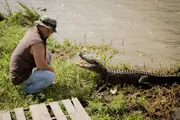 A person is squatting near the water's edge, facing an alligator with its mouth open.