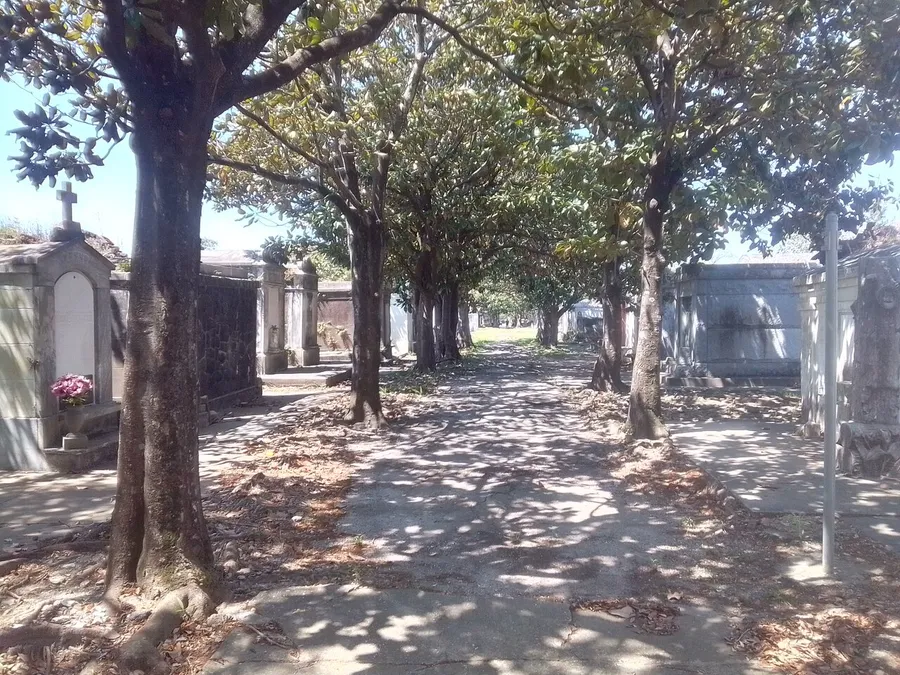 The image shows a peaceful tree-lined pathway in a cemetery with various tombs and grave markers bathed in sunlight.