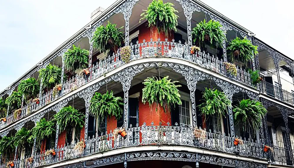 The image shows a multi-story building with ornate ironwork balconies abundant with green plants evoking a classic New Orleans architectural style