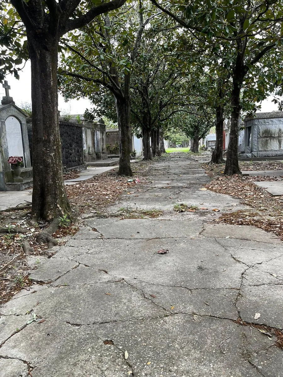 A tranquil path lined with trees leads through an old, seemingly serene cemetery with weathered gravestones and crypts.