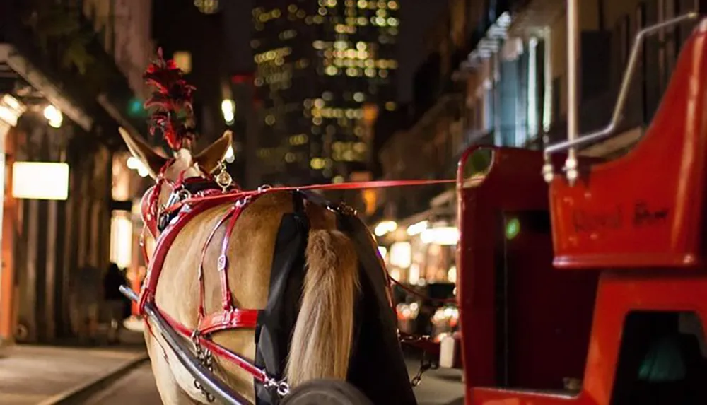 A horse wearing festive attire pulls a red carriage along a city street at night