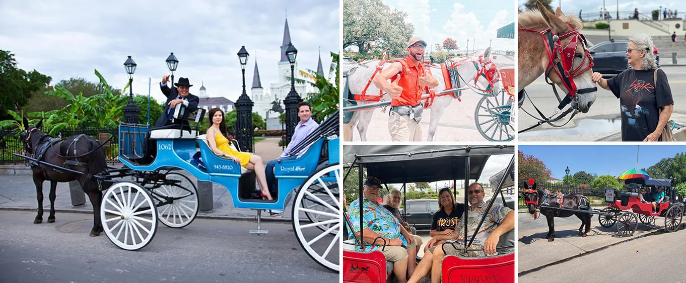 VIP Private Carriage Tour of French Quarter