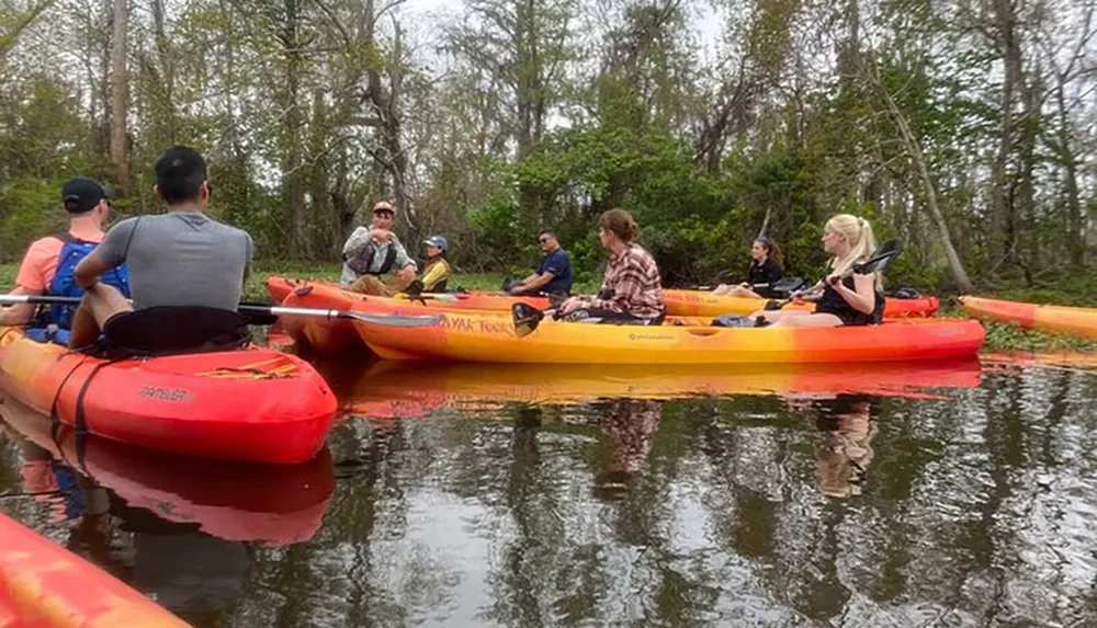 A group of people are enjoying a kayak excursion on a calm waterway surrounded by natural vegetation