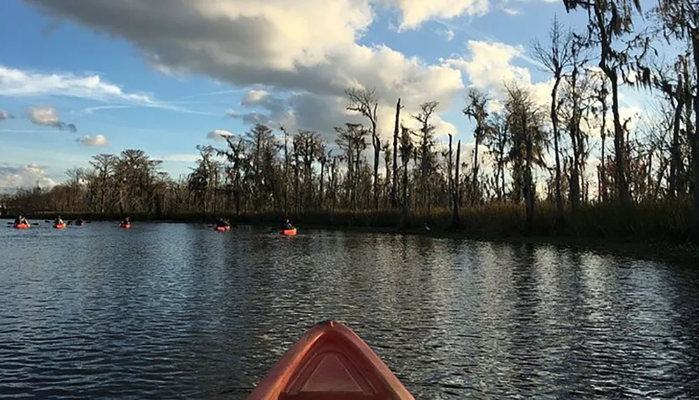 A group of people are kayaking on a calm waterway surrounded by leafless trees under a partly cloudy sky