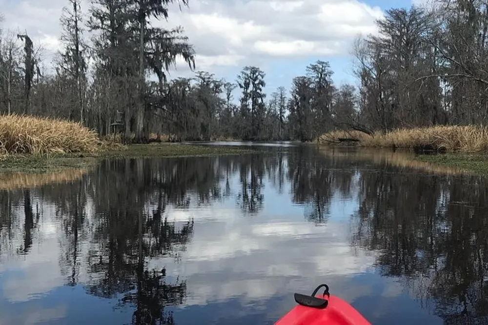 A person is kayaking through a calm reflective waterway lined with trees draped in Spanish moss under a partly cloudy sky