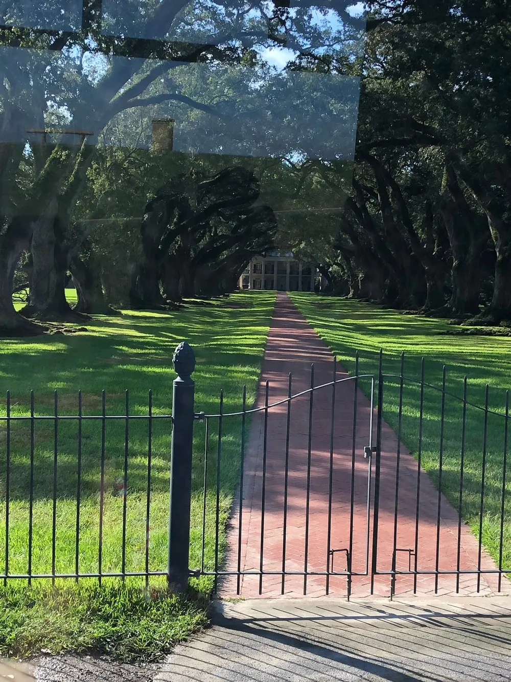 A red brick pathway leads through an alley of majestic oak trees towards a classical house viewed from behind a wrought-iron gate