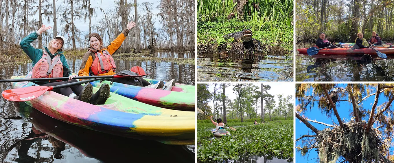 Manchac Magic Kayak Swamp Tour