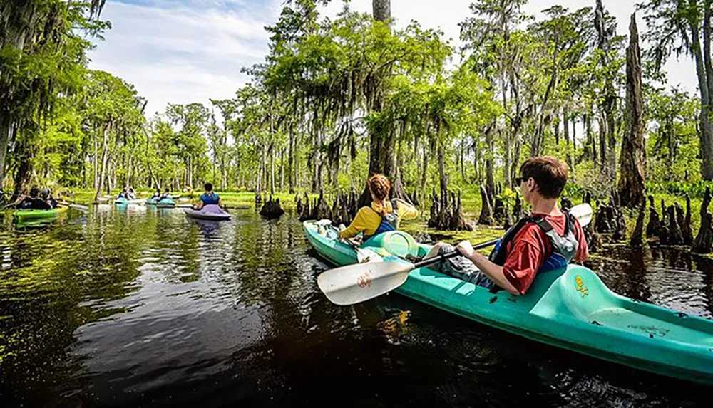 A group of people are enjoying a kayaking adventure in a lush cypress tree-lined swamp