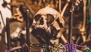 The image displays a human skull placed atop a metal rod, surrounded by colorful beads, with a backdrop of other bones and potentially artistic or ritualistic props.