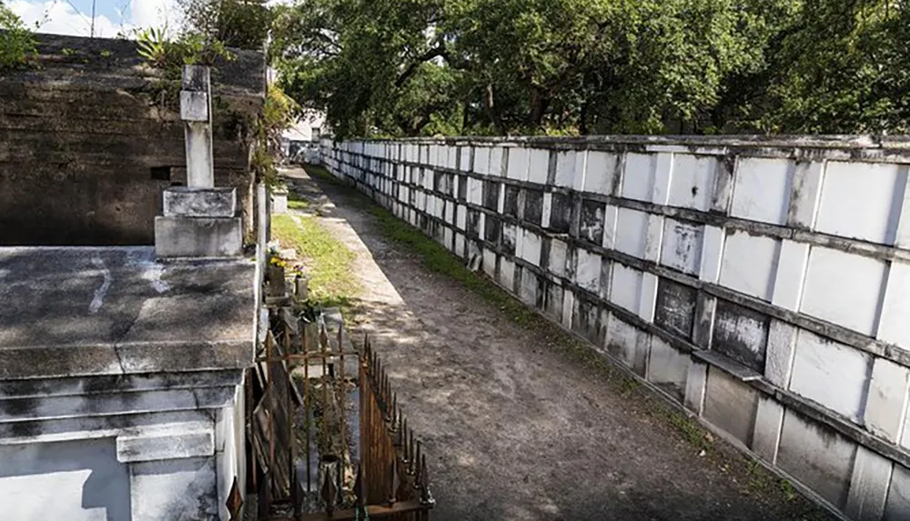 The image shows a tree-lined pathway between rows of above-ground tombs in a cemetery under a bright sky characteristic of many New Orleans cemeteries