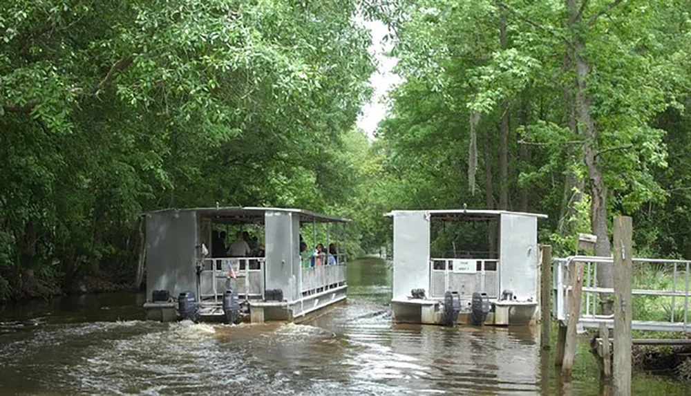 Two flat-bottomed tour boats with passengers are navigating through a tree-lined waterway