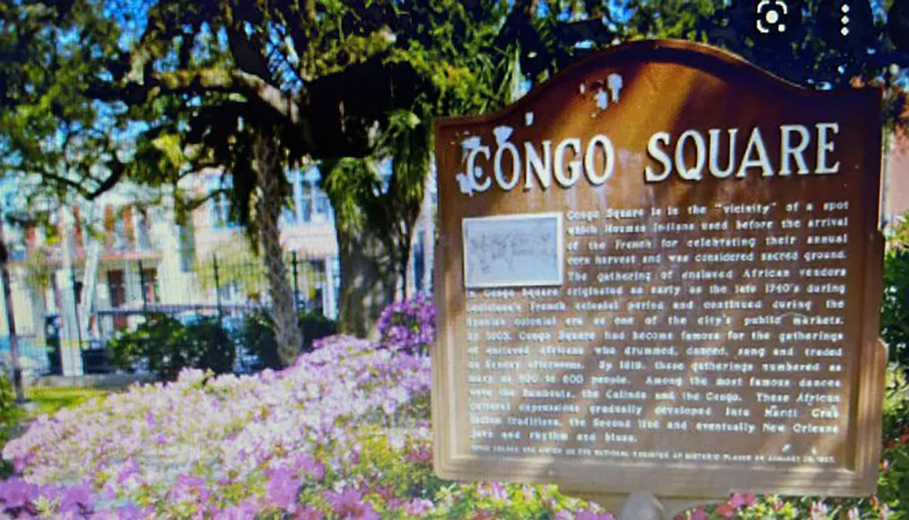 The image shows an informational sign about Congo Square detailing its historical significance with blooming flowers and a tree in front of buildings that are slightly out of focus in the background