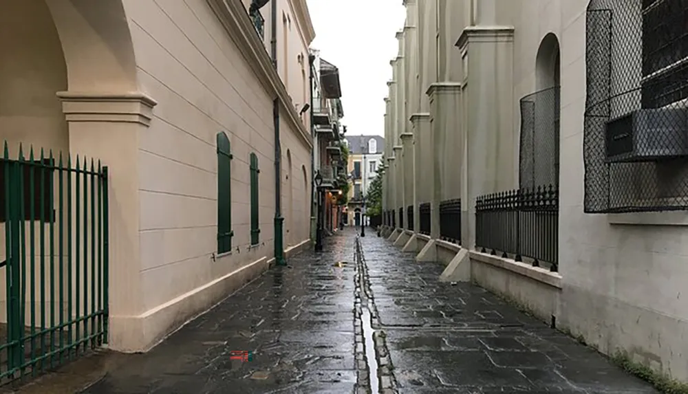 A wet narrow alley with green shutters and black iron fences on the sides after a rain