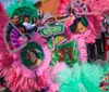 This image captures a vibrant street scene with individuals dressed in elaborate pink and green feathered costumes likely part of a parade or cultural festival