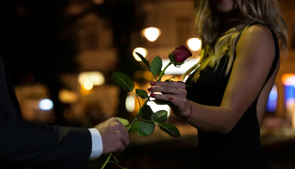 A man in a suit is handing a red rose to a woman in a black dress in an evening setting with soft bokeh lights in the background