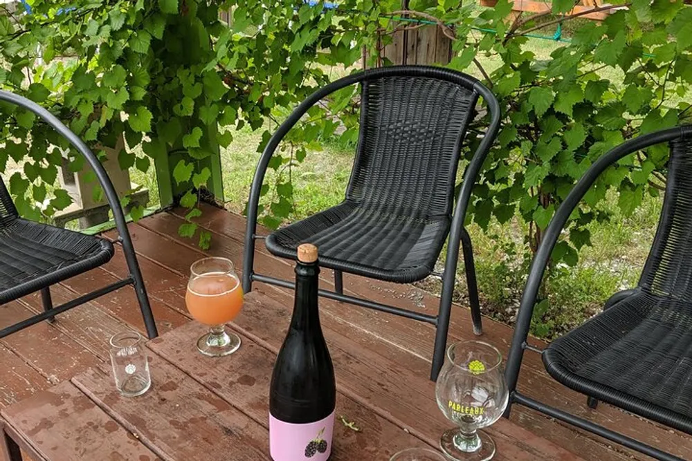 A relaxing outdoor setting featuring a bottle of drink with a filled glass and an empty glass on a wooden table surrounded by vine foliage and wicker chairs suggesting a moment of leisure or a tasting session
