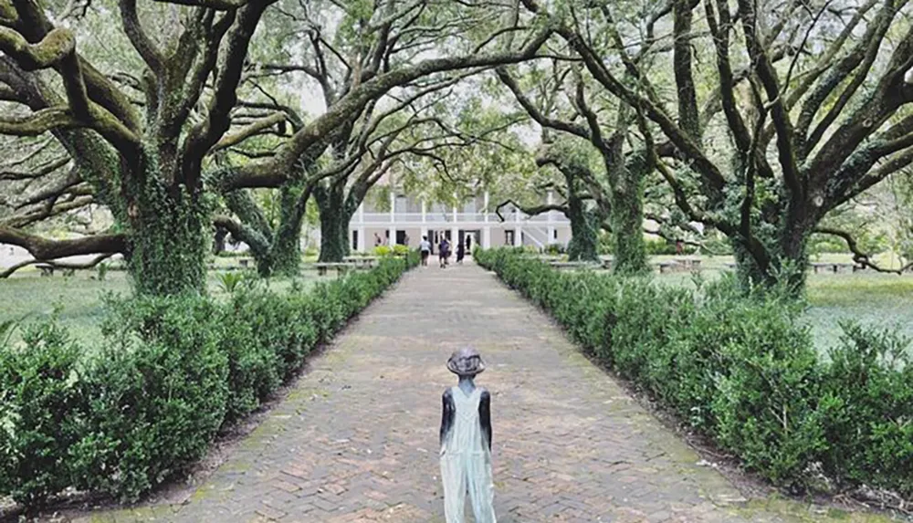 A person stands on a brick pathway lined with large gnarled oak trees leading towards a classic white building with a veranda