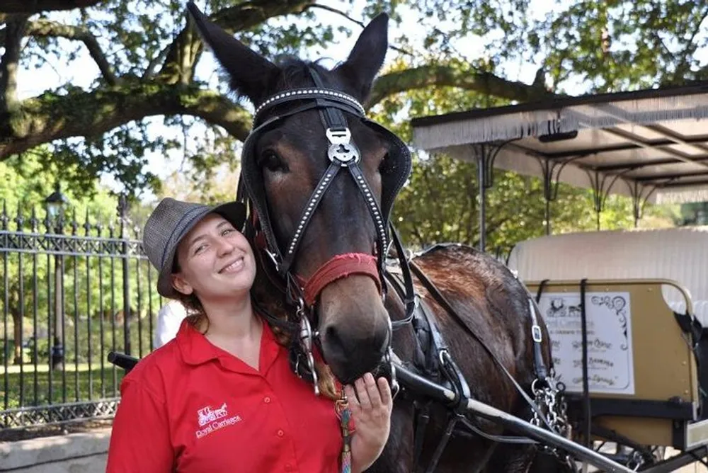 A smiling person wearing a red uniform and grey hat stands next to a bridled horse possibly part of a carriage service