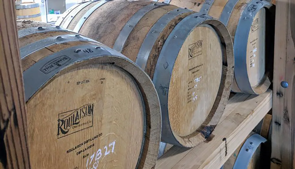 The image shows a row of wooden barrels likely used for aging spirits or wine stored on racks
