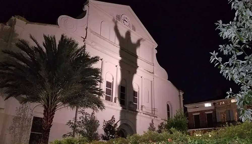 The image shows the shadow of a palm tree cast on a white building at night creating an illusion reminiscent of a figure with raised arms