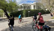 A group of four people are enjoying a leisurely bike ride on a sunny day in a residential neighborhood with lush greenery.