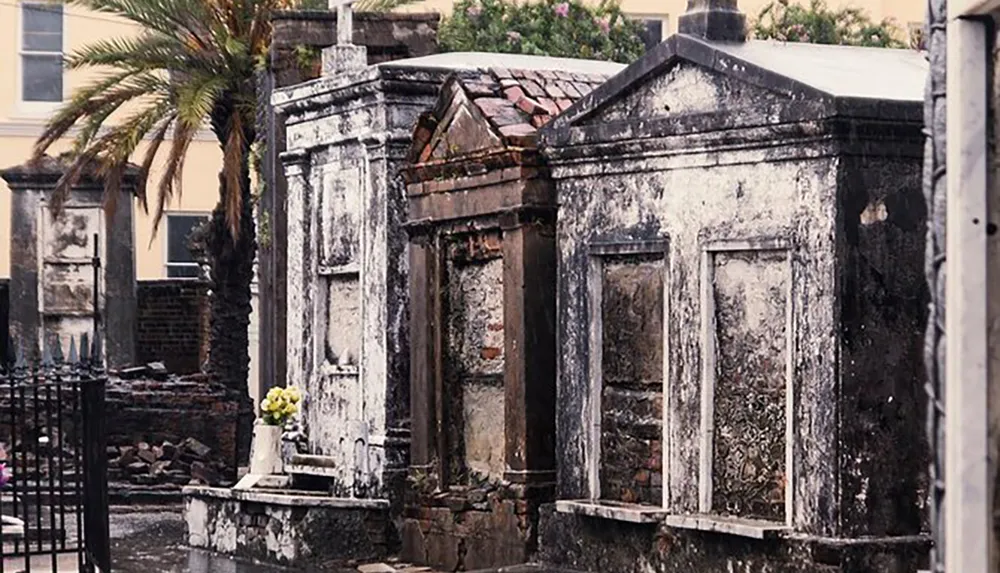 The image shows aged and weathered above-ground tombs common in regions with high water tables nestled among palm trees reflecting the unique character of a historic cemetery