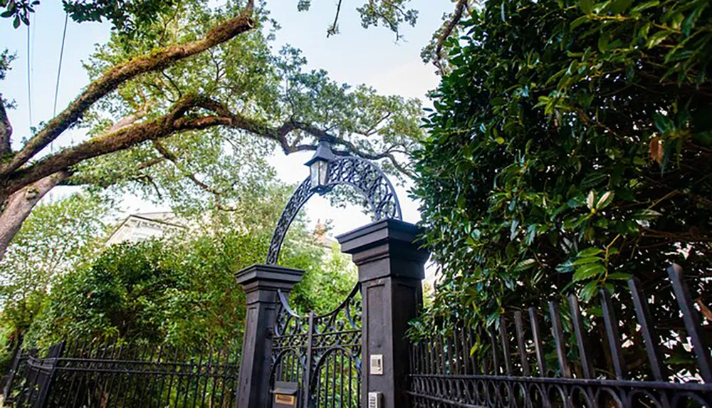 An ornate wrought iron gate stands between lush greenery under a sky framed by tree branches