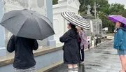 Four people are standing under umbrellas in the rain, looking at a wall with names inscribed on it, possibly at a memorial or cemetery.