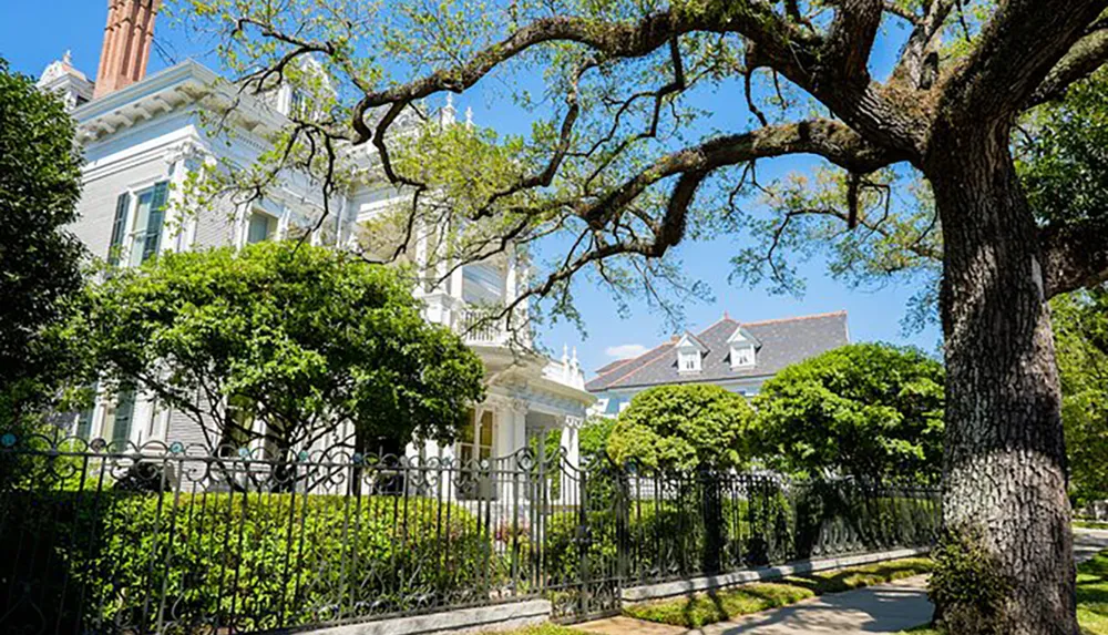 An elegant historic house with a large porch is partially obscured by lush greenery and an ornate wrought-iron fence with a sprawling oak tree in the foreground