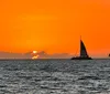 A dolphin is leaping out of the ocean waves near a boat at sunset while a person observes in the foreground